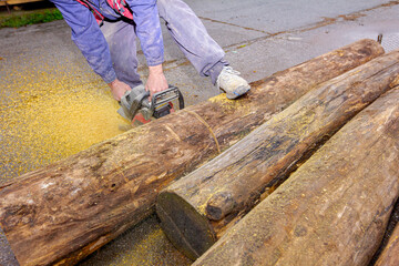 Carpenter is cutting wood with chainsaw