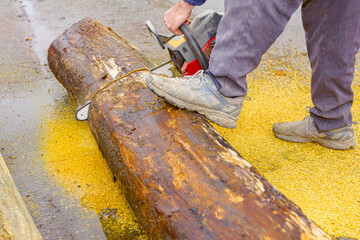 Carpenter is cutting wood with chainsaw