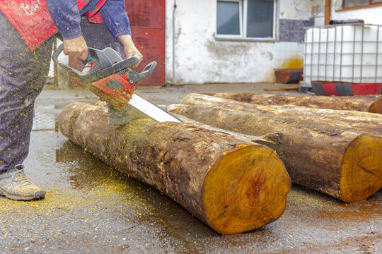 Carpenter is cutting wood with chainsaw