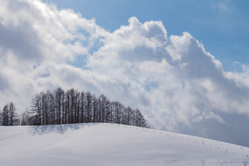 光あふれる美瑛の丘の上の風景