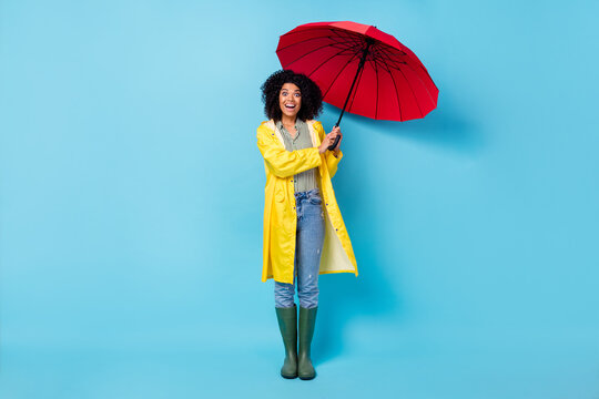 Photo of charming impressed dark skin lady dressed waterproof raincoat walking holding red umbrella isolated blue color background
