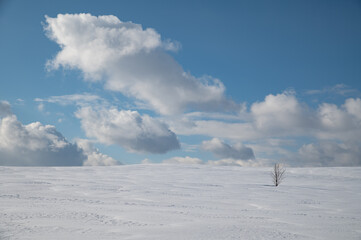 Fototapeta na wymiar 素敵な雲のある雪原