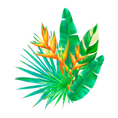 Hand dawn tropical plants and flowers arranged in composition. Realistic tropical digital illustration. Exotic bouquet of tropical leaves and flowers.