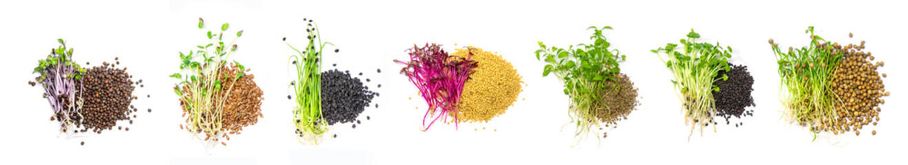 Collage of different microgreens on a white background. Selective focus.