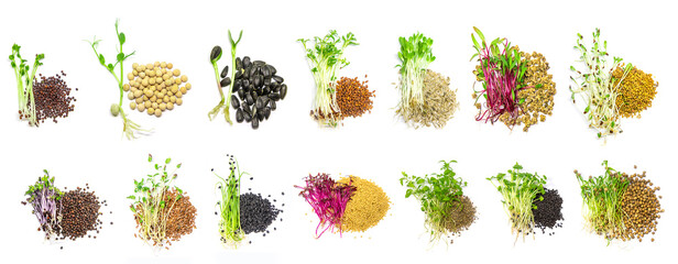 Collage of different microgreens on a white background. Selective focus.
