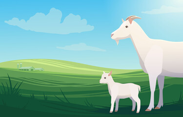 Vector illustration landscape with cow and little baby goat on pasture with ranch on the background. Scenery of farm on green fields, bright and natural.
