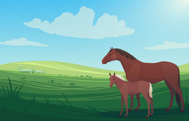 Vector illustration landscape with horse, mare and little baby foal on pasture, with barn and herd of horses grazing in the background. Scenery of farm on green fields, bright and natural.
