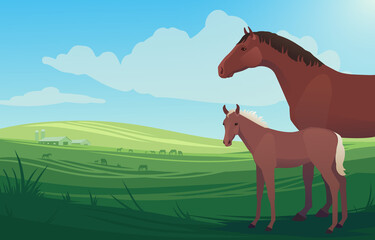 Vector illustration landscape with horse, mare and little baby foal on pasture, with barn and herd of horses grazing in the background. Scenery of farm on green fields, bright and natural.