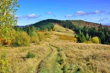 Fototapeta na wymiar Autumn landscape in the mountains, Gorce, Poland