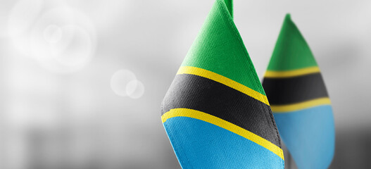 Small national flags of the Tanzania on a light blurry background