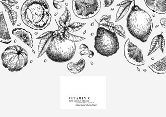 Citrus fruit set. Hand drawn orange, lemon, grapefruit, mandarin, lime, bergamot, leaves with bloosm and branches. Vector engraved composition Restaurant branding, cosmetic package design, menu.