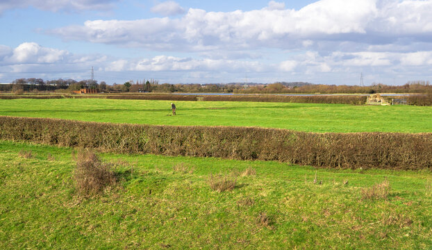 Solitary man using a metal detector in a field