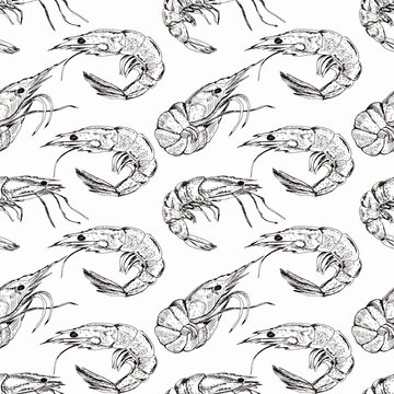 Seamless seafood pattern, shrimp. Hand painted illustration.