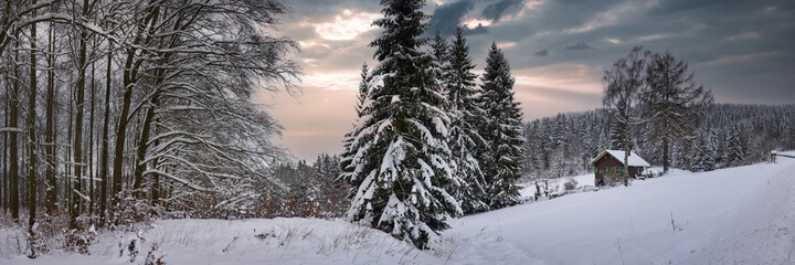 Winter im Thüringer Wald