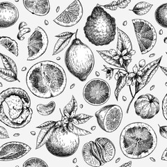 Citrus fruit set. Hand drawn orange, lemon, grapefruit, mandarin, lime, bergamot, leaves with bloosm and branches. Vector engraved seamless pattern. Restaurant branding, cosmetic package design, menu. - 416713854