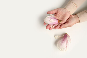 close-up of middle-aged woman's hand holding buds of spring flowers, pink magnolia, concept of awakening nature, aroma of plants, anti-aging cosmetology and care for aging skin