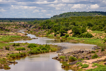 Fototapeta na wymiar A view over the Olifants river in Kruger NP in South Africa.