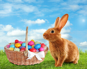 Cute bunny and wicker basket with colorful Easter eggs on green grass outdoors