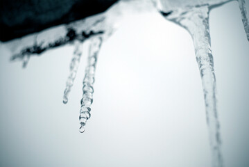 Fototapeta na wymiar Monochrome image of melting icicles on the roof.
