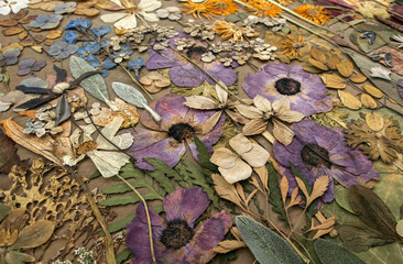 Different dry flowers on the wooden table