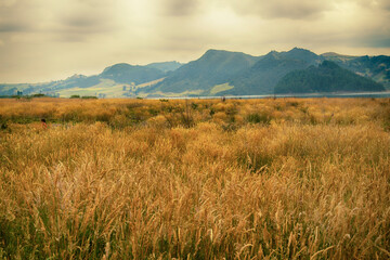 landscape with mountains