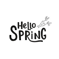 Hello spring handwritten sign with carrots. Vector stock illustration isolated on white background. EPS10