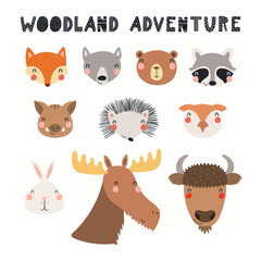 Cute wild animal faces clipart collection, isolated on white. Hand drawn vector illustration. Woodland elements set. Scandinavian style flat design. Concept for kids fashion, textile print, poster