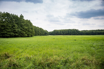 Countyside with Forest and Meadow under Cloudy Sky, Germany, Europe