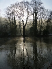 Early morning sun breaking through trees on the River Thames on a misty Autumn morning