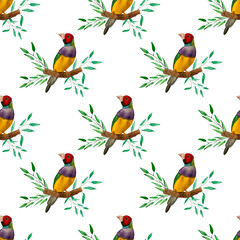 Seamless pattern with tropical bird. Backgrounds and wallpapers for invitations, cards, fabrics, packaging, textiles. Watercolor illustration.
