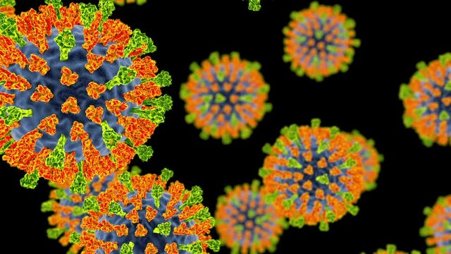 Measles virus. 3D animation showing measles viruses with surface glycoprotein spikes heamagglutinin-neuraminidase (orange) and fusion protein (green) on black background