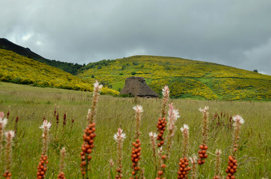 Paisaje verde en Asturias donde se pueden ver los Teitos y el Parque Natural de Somiedo en un d&iacute;a nublado.