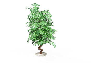 Naklejka premium Tree isolated. Image useful for banners and posters or photo maipulations. 3d render illustration