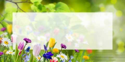 Background with flowers and place for your text - 416727607