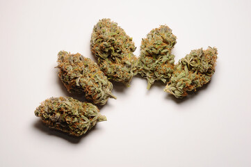 Marijuana buds closeup. Medicinal cannabis flowering on white background, isolated. Hemp recreation, medical usage, legalization.