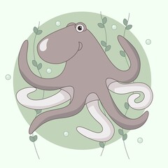 Octopus