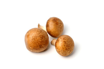 Fresh champignon mushrooms isolated on white