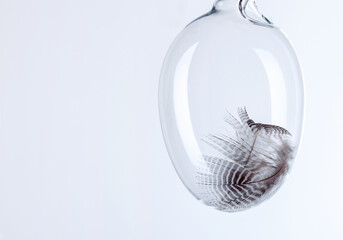 Ferder in einem Glasei