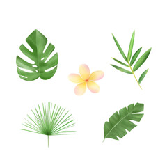 Tropical elements fashion leaves green pattern 