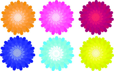 Set of colorful flower bud
