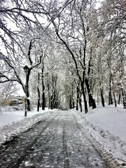 winter in the park