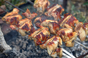 Chicken kebab, outdoors, on a homemade grill, close-up