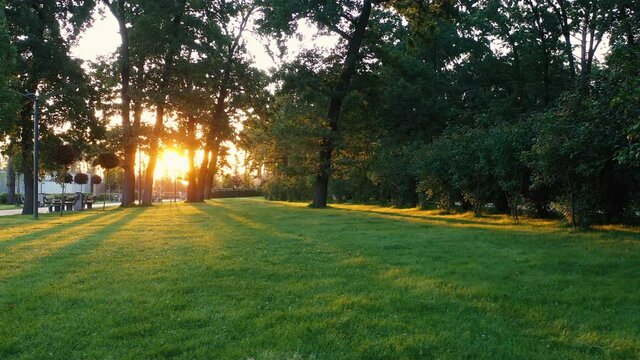 French garden in central Buchan city park of topiary art.