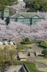 異人館と桜