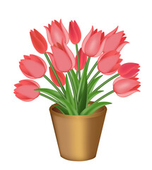 Bouquet of red tulips in a flower pot. Vector illustration, isolated on white.