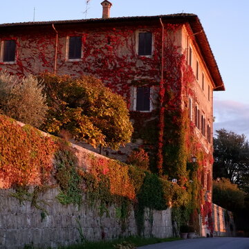 The old Tenuta di Bibbiano farm winery (Italy) covered by the American wine in Autumn 2020.