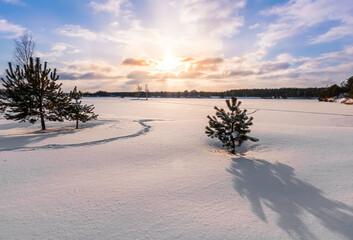 Sunset or sunrise in a winter field or lake with snow on earth and path, leading far away. Pine with beautiful sky on the background.