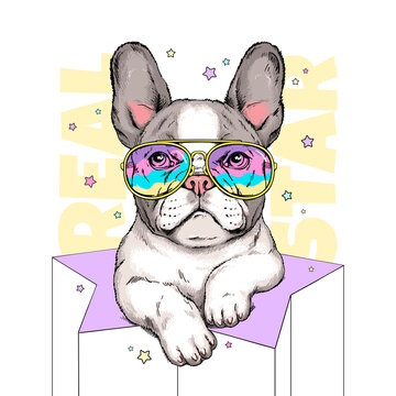 Cute cartoon french bulldog puppy in bright sunglasses . Real star illustration. Stylish image for printing on any surface