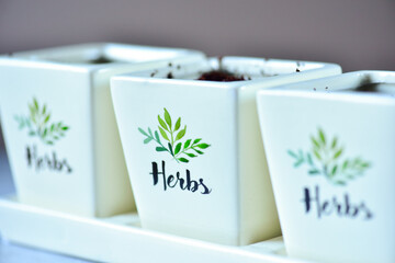 White ceramic pots with the inscription Herbs and soil inside.