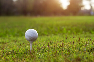 golf ball on tee in a beautiful golf course with morning sunshine